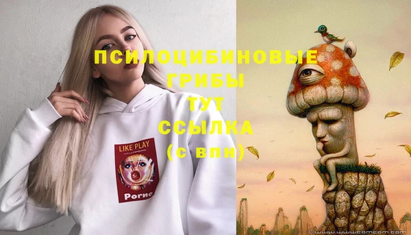 прущая мука Армянск